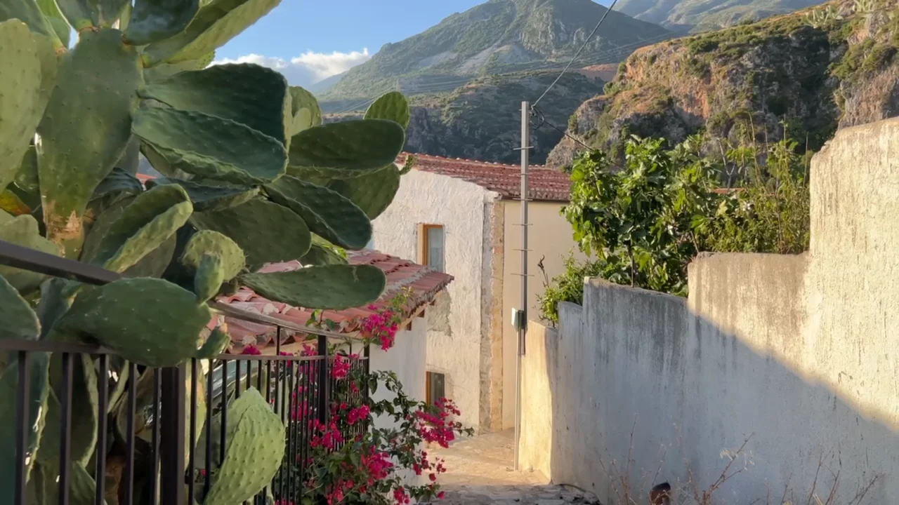 Eine Gasse mit Kaktus und Bergen aus meinen eigenen Reiseaufnahmen